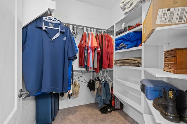 walk in closet with carpet floors