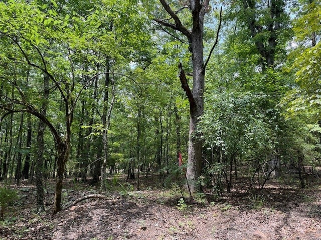 Listing photo 3 for TBD Trestle St, Winslow AR 72959