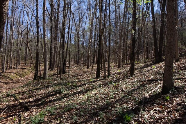 LOTS4-7 Rocky Branch Rd, Rogers, AR 72756 - photo 21