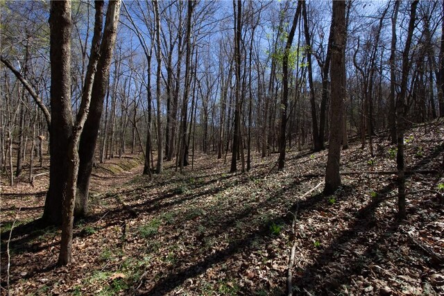 LOTS4-7 Rocky Branch Rd, Rogers, AR 72756 - photo 22