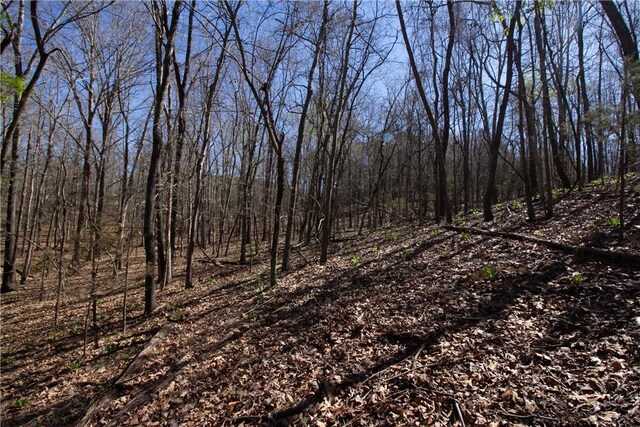 LOTS4-7 Rocky Branch Rd, Rogers, AR 72756 - photo 23