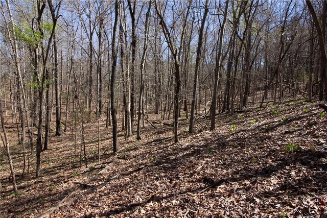 LOTS4-7 Rocky Branch Rd, Rogers, AR 72756 - photo 25