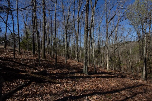 LOTS4-7 Rocky Branch Rd, Rogers, AR 72756 - photo 26