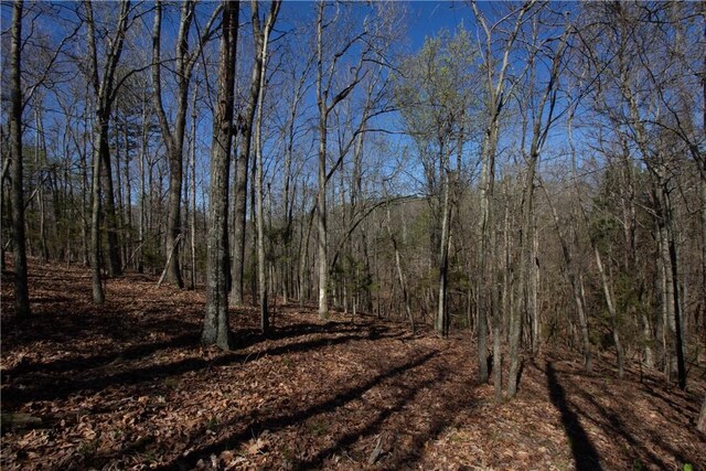 LOTS4-7 Rocky Branch Rd, Rogers, AR 72756 - photo 27