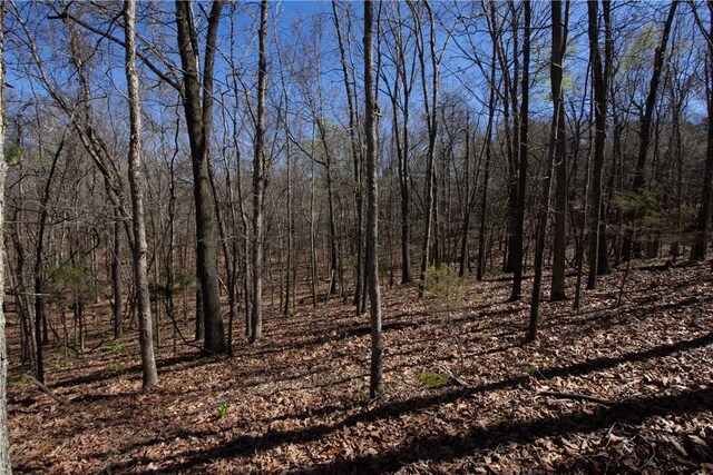LOTS4-7 Rocky Branch Rd, Rogers, AR 72756 - photo 28