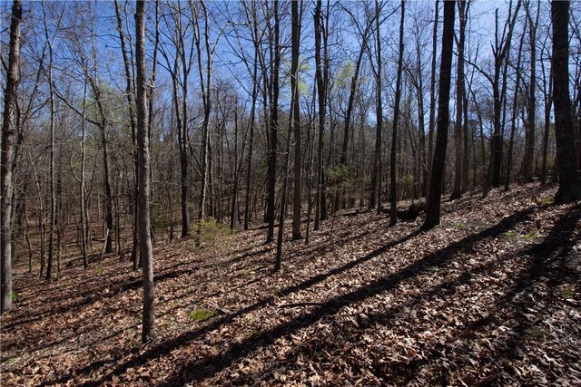 LOTS4-7 Rocky Branch Rd, Rogers, AR 72756 - photo 29