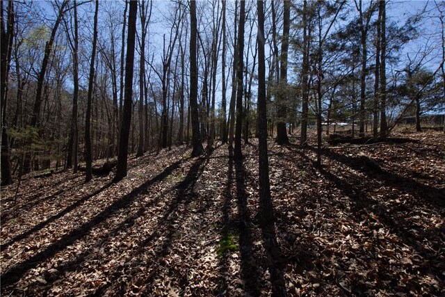 LOTS4-7 Rocky Branch Rd, Rogers, AR 72756 - photo 30