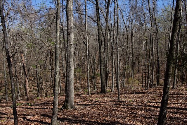 LOTS4-7 Rocky Branch Rd, Rogers, AR 72756 - photo 31