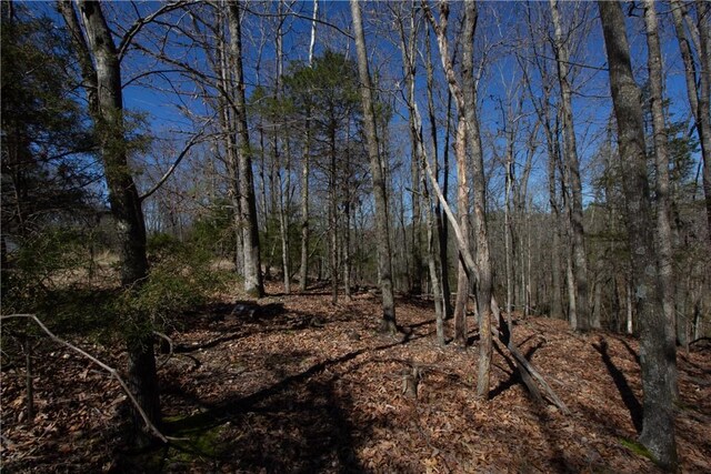 LOTS4-7 Rocky Branch Rd, Rogers, AR 72756 - photo 32