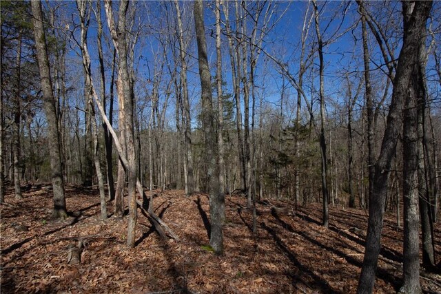 LOTS4-7 Rocky Branch Rd, Rogers, AR 72756 - photo 33