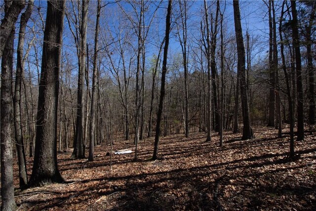 LOTS4-7 Rocky Branch Rd, Rogers, AR 72756 - photo 35