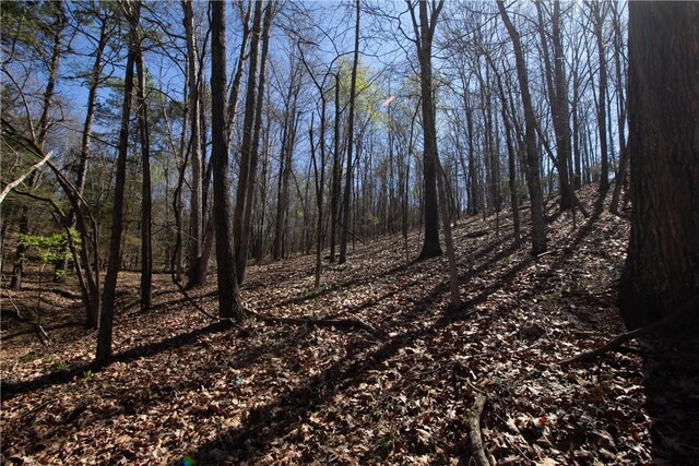 LOTS4-7 Rocky Branch Rd, Rogers, AR 72756 - photo 7