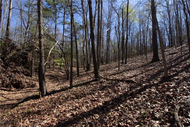 LOTS4-7 Rocky Branch Rd, Rogers, AR 72756 - photo 8