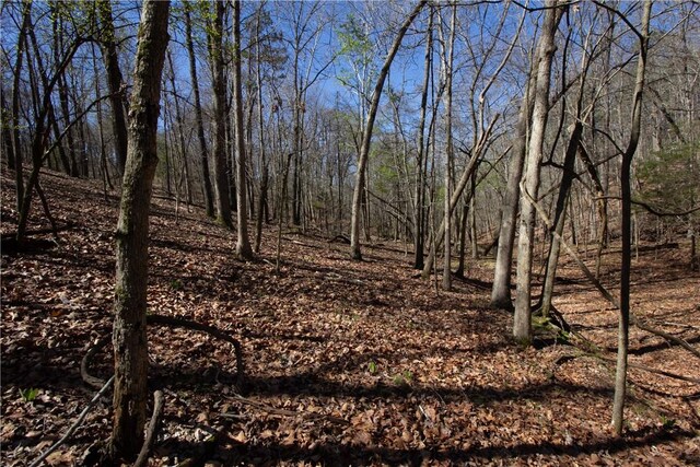 LOTS4-7 Rocky Branch Rd, Rogers, AR 72756 - photo 10