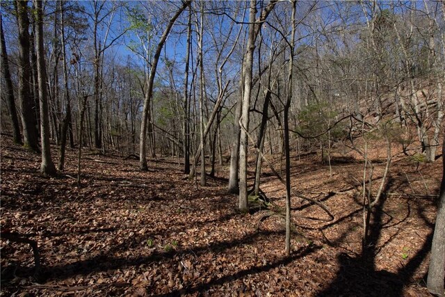 LOTS4-7 Rocky Branch Rd, Rogers, AR 72756 - photo 11