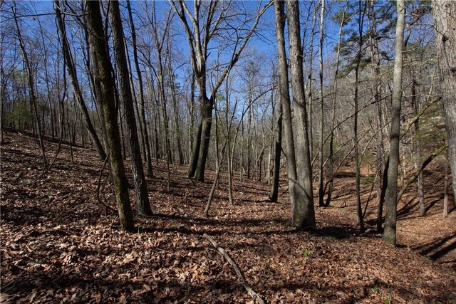LOTS4-7 Rocky Branch Rd, Rogers, AR 72756 - photo 12