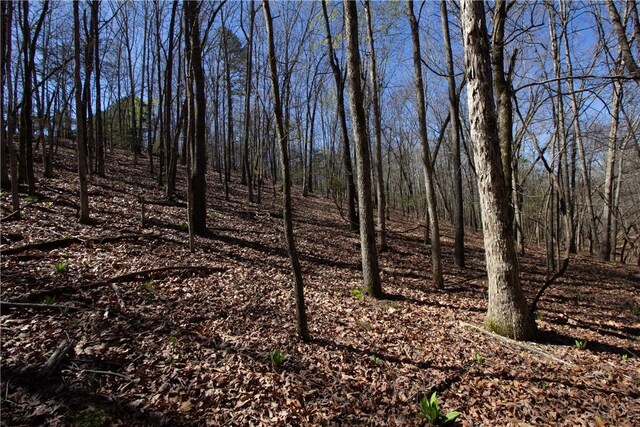 LOTS4-7 Rocky Branch Rd, Rogers, AR 72756 - photo 14