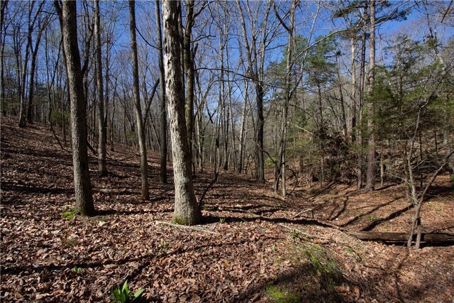 LOTS4-7 Rocky Branch Rd, Rogers, AR 72756 - photo 15