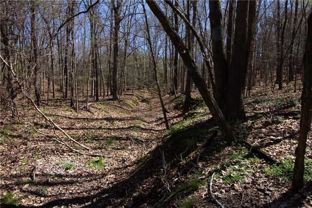 LOTS4-7 Rocky Branch Rd, Rogers, AR 72756 - photo 17