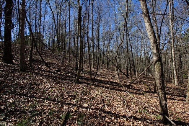 LOTS4-7 Rocky Branch Rd, Rogers, AR 72756 - photo 18