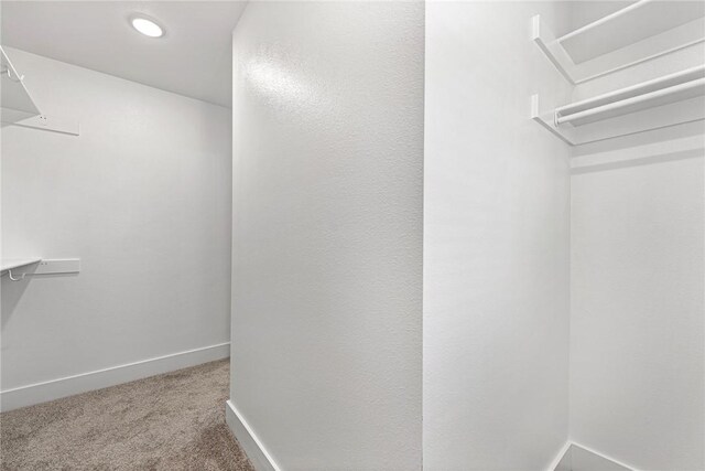 walk in closet with carpet
