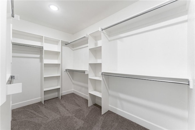 walk in closet with dark colored carpet