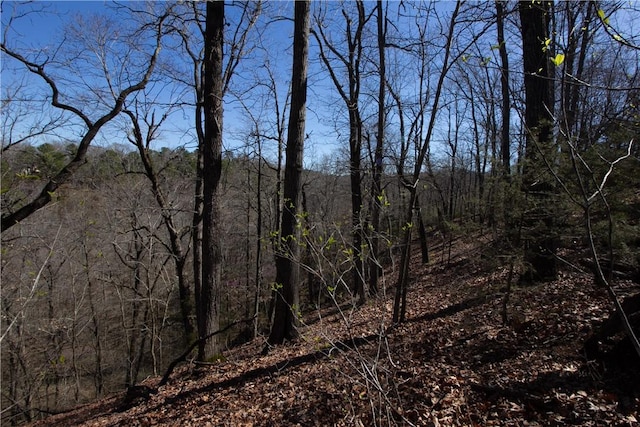 LOTS44-47 Cardinal Dr, Rogers, AR 72756 - photo 24