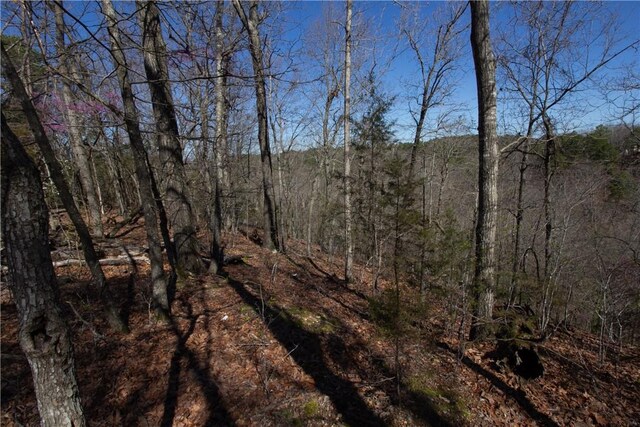 LOTS44-47 Cardinal Dr, Rogers, AR 72756 - photo 25