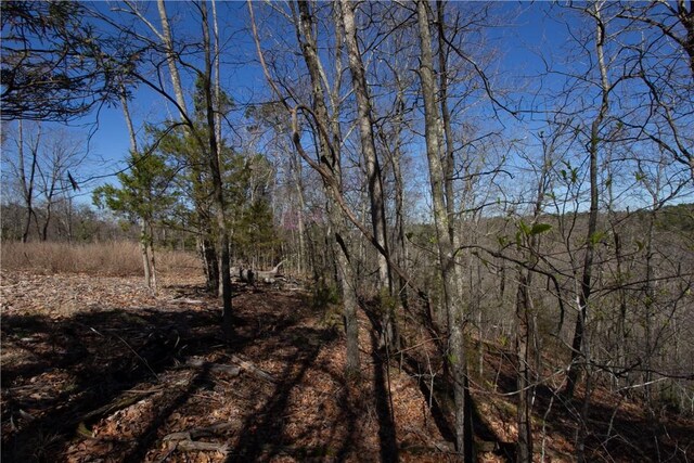 LOTS44-47 Cardinal Dr, Rogers, AR 72756 - photo 30