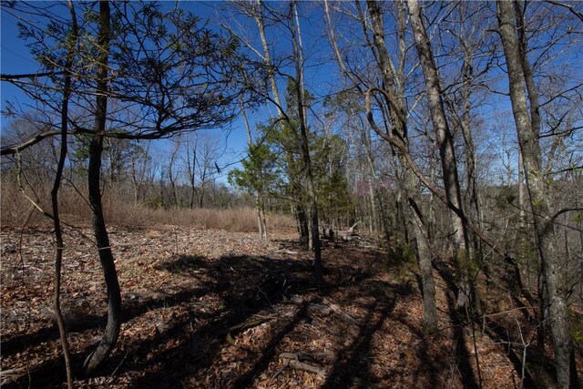 LOTS44-47 Cardinal Dr, Rogers, AR 72756 - photo 31