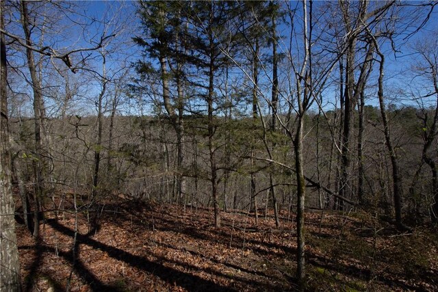 LOTS44-47 Cardinal Dr, Rogers, AR 72756 - photo 32