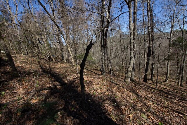 LOTS44-47 Cardinal Dr, Rogers, AR 72756 - photo 41