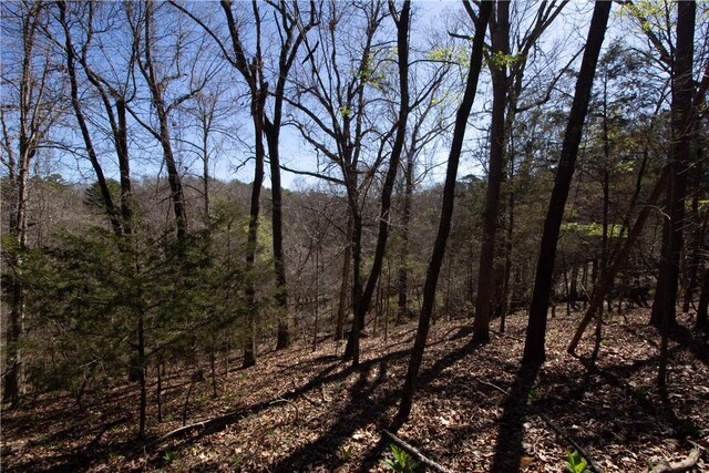 LOTS44-47 Cardinal Dr, Rogers, AR 72756 - photo 45