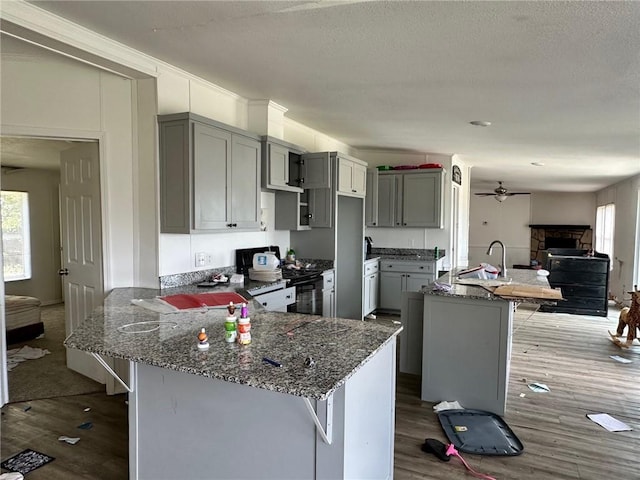 11121 Wolf Track Rd, Summers, AR 72769 - kitchen featuring black range, a sink, gray cabinetry, a peninsula, and a fireplace