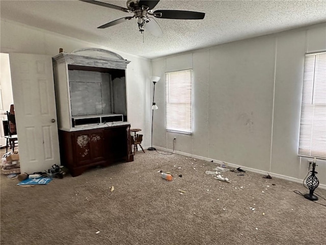 11121 Wolf Track Rd, Summers, AR 72769 - unfurnished living room with carpet flooring, a textured ceiling, and ceiling fan