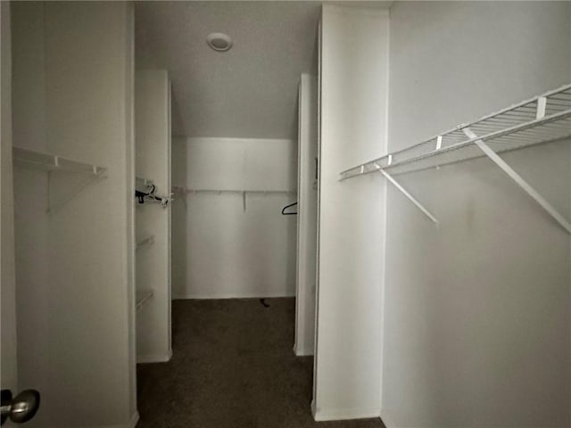11121 Wolf Track Rd, Summers, AR 72769 - spacious closet featuring dark colored carpet
