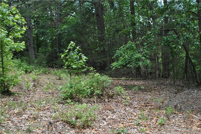 LOTS87-92 Mockingbird Ln, Rogers, AR 72756