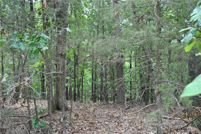LOTS87-92 Mockingbird Ln, Rogers, AR 72756