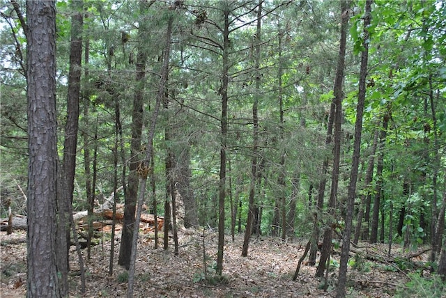 LOTS87-92 Mockingbird Ln, Rogers, AR 72756