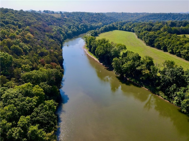County Road 4171, Berryville, AR 72616 - photo 5