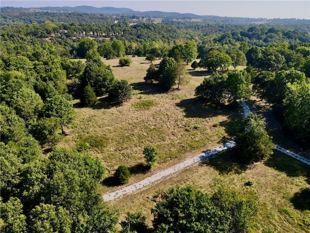 County Road 4171, Berryville, AR 72616 - photo 9