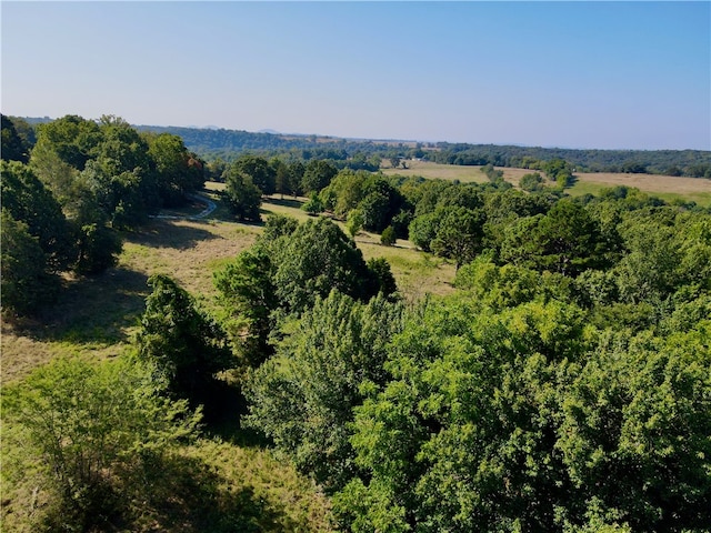 County Road 4171, Berryville, AR 72616 - photo 13