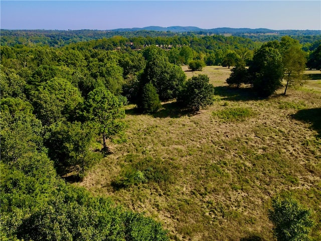 County Road 4171, Berryville, AR 72616 - photo 14