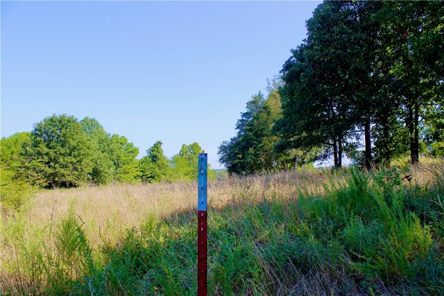 County Road 4171, Berryville, AR 72616 - photo 16