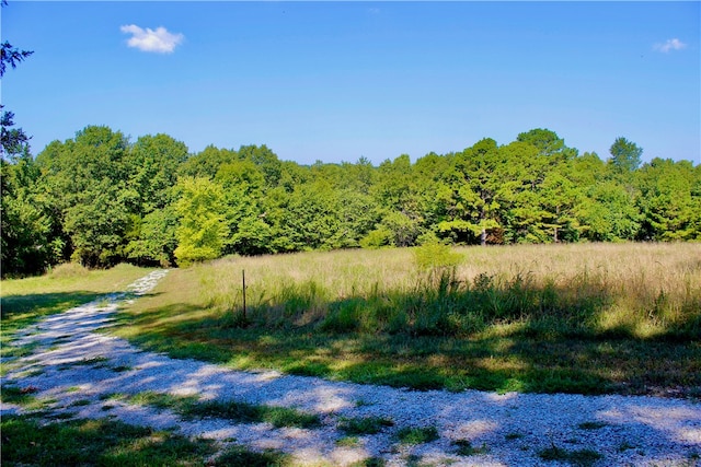 County Road 4171, Berryville, AR 72616 - photo 17