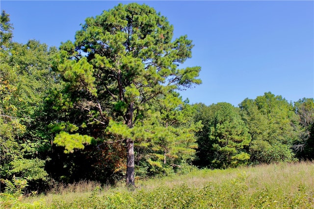 County Road 4171, Berryville, AR 72616 - photo 19