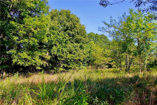 County Road 4171, Berryville, AR 72616 - photo 21