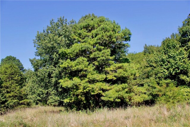 County Road 4171, Berryville, AR 72616 - photo 22