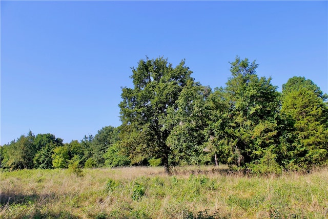 County Road 4171, Berryville, AR 72616 - photo 23