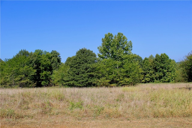County Road 4171, Berryville, AR 72616 - photo 25